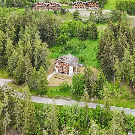 De L Ours Authentic Etage Tournay 12 Pers *